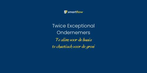 Te slim voor de basis, te chaotisch voor de groei? Waarom marketing vaak de bottleneck is voor de ‘Twice Exceptional’ ondernemer.
